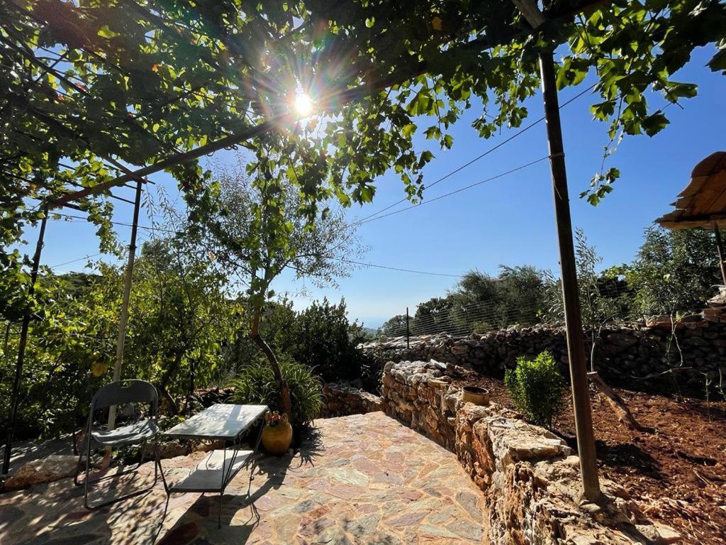 Find Your Peace In A Traditional Country House!! Láyia Extérieur photo