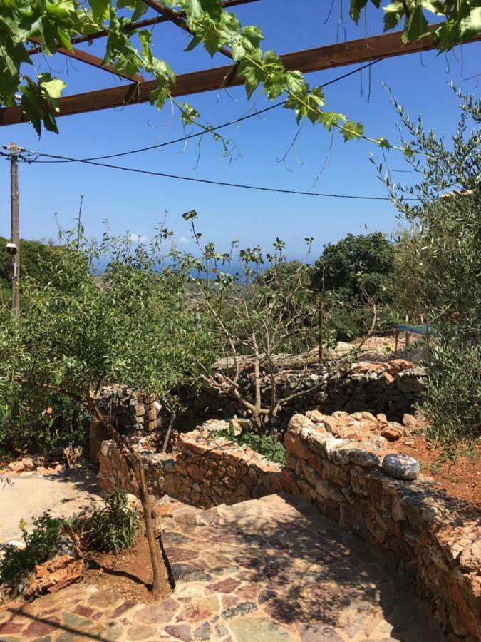 Find Your Peace In A Traditional Country House!! Láyia Extérieur photo